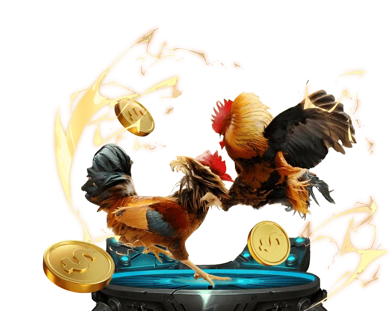 Đá gà trực tuyến 13win okvip